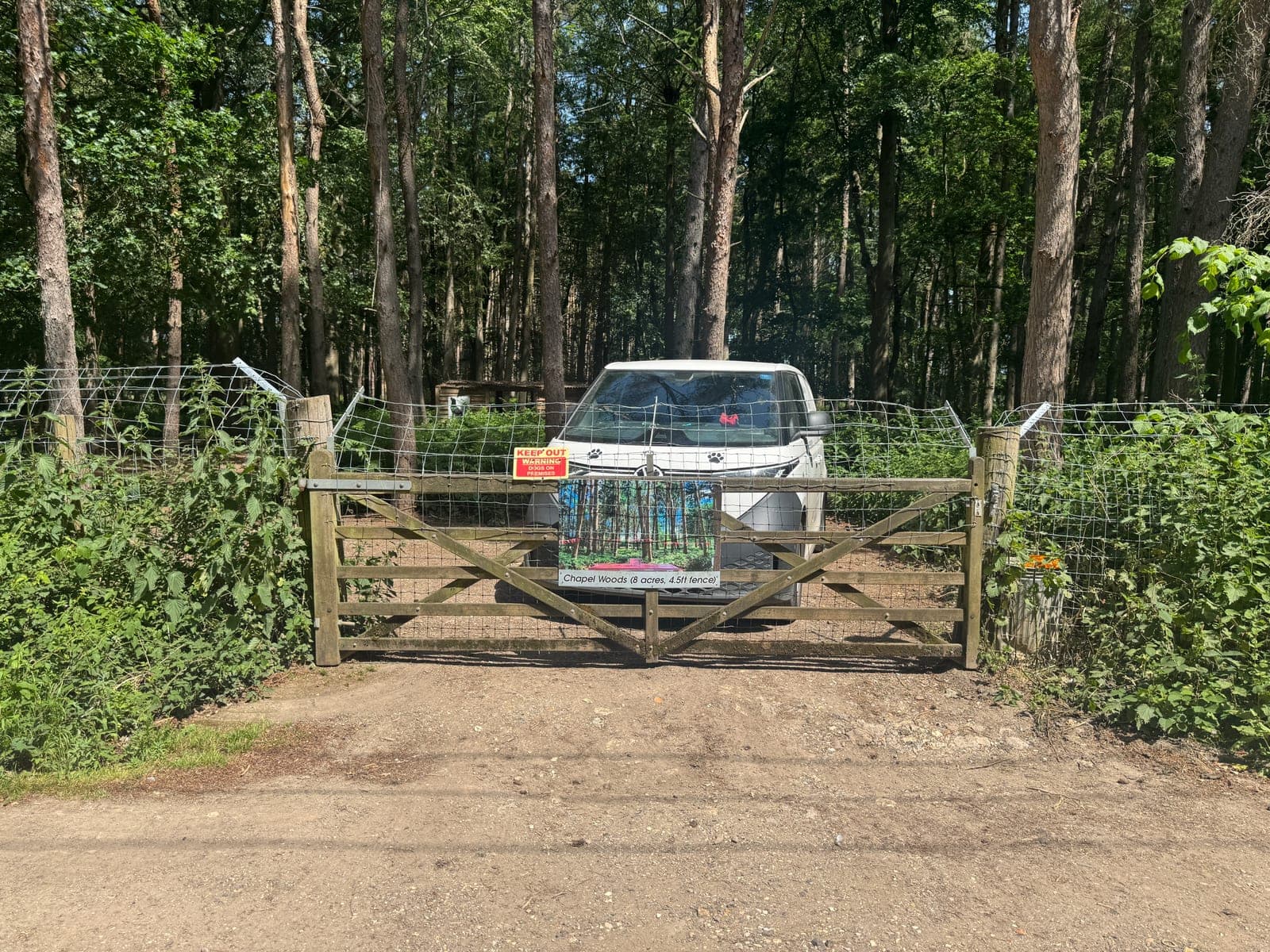 Chapel Woods gate from the lane, K9 Woodland Services sign on the timber gate, pine woods beyond