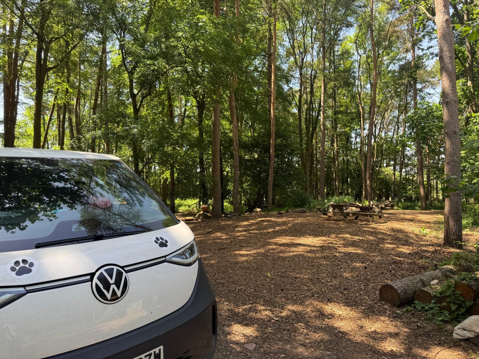 K9 Woodland Services van inside Wallaby Woods, paw logos on the bonnet