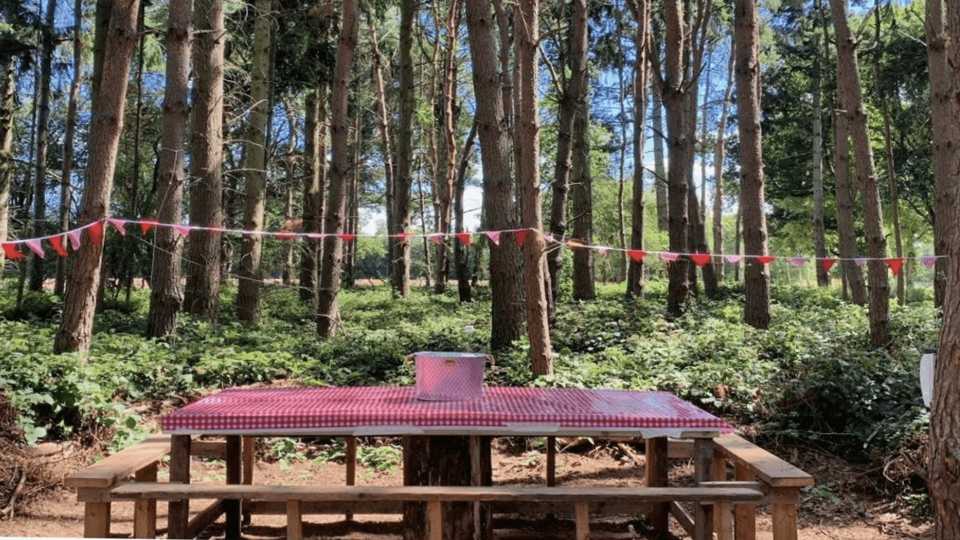Chapel Woods - picnic bench with bunting in mature pine woodland